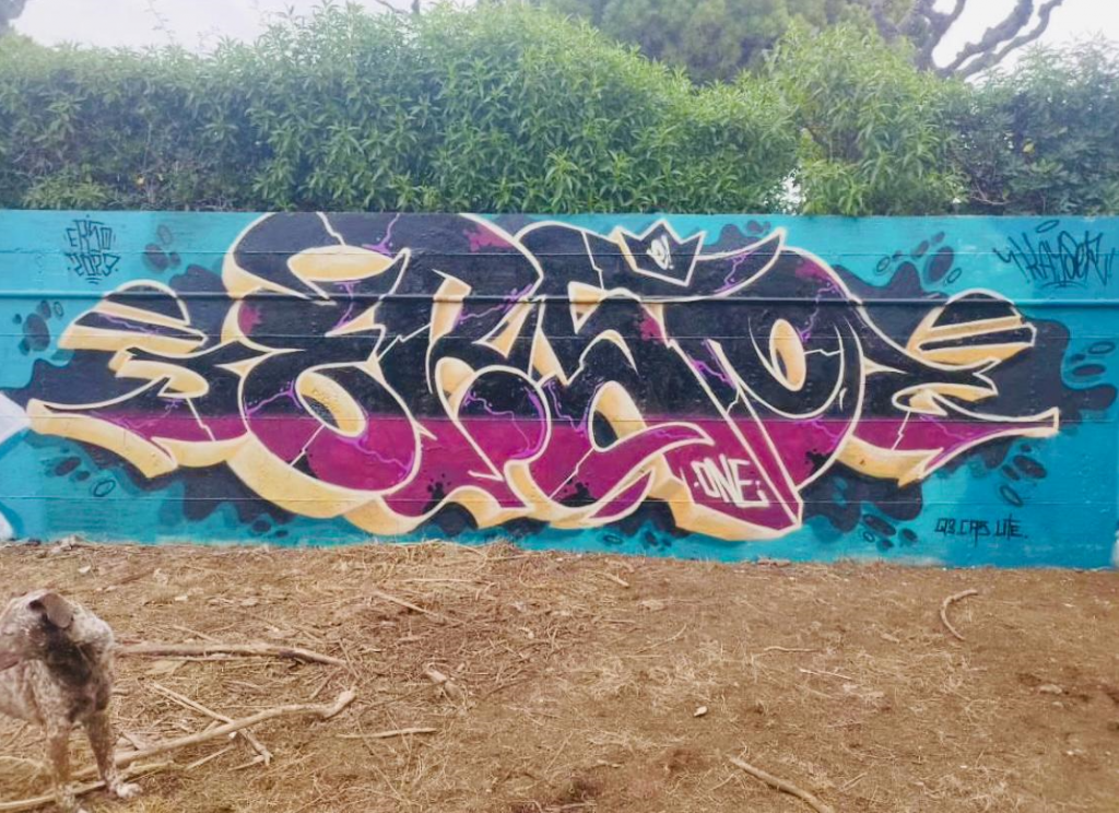 ERSO