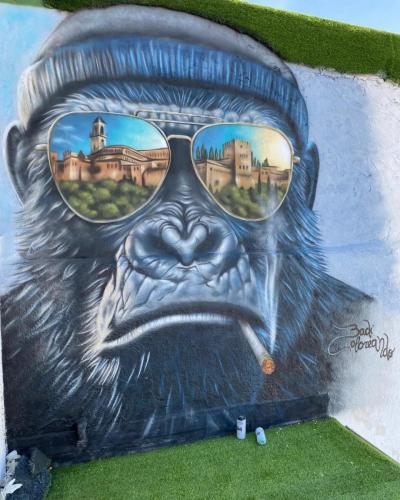 BADI COLOREANDO - SEGUNDA SEMANA LNG 2024