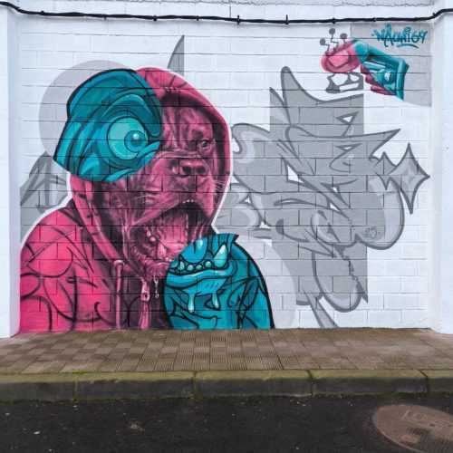 EVENTO ICOD DE LOS VINOS LNG 2025 - NAUNI69