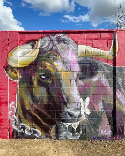 KLINA - SEGUNDA SEMANA LNG 2024