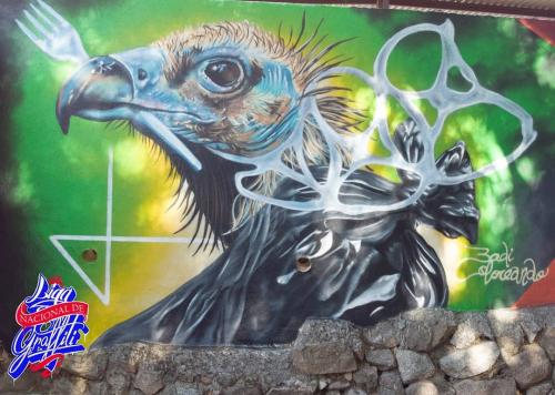 LIGA NACIONAL DE GRAFFITI EN SAN MARTIN DE VALDEIGLESIAS