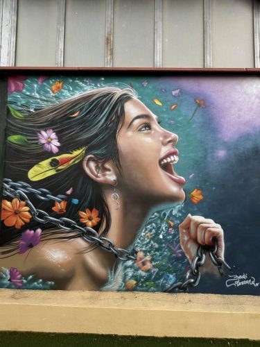 QUINTA JORNADA LNG 2025 - BADI COLOREANDO