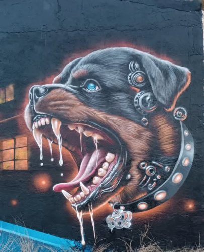 TERCERA JORNADA LNG 2025 - DANKLABARA